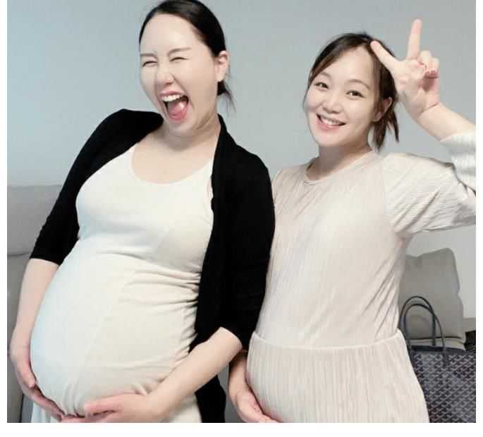 北京试管供卵助孕怎么读拼音