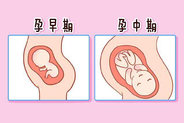北京供卵试管卵移植后腹痛是什么原因？