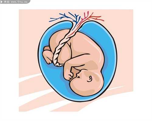 美国代孕复杂吗：得了输卵管堵塞会排卵吗