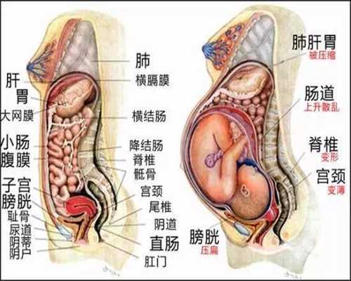 美国自然代孕：宫颈糜烂为什么会导致女性不孕