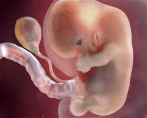 代孕宝宝的血型：五格剖象起名法