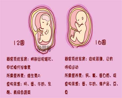 武汉代孕产子价格+生男孩:试管移植两次都以生化