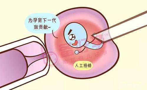 北京找代怀孕哪家好,北京供卵试管代怀生子医院名单公布，这三家医院榜上有