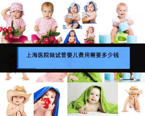 上海医院做试管婴儿费用需要多少钱